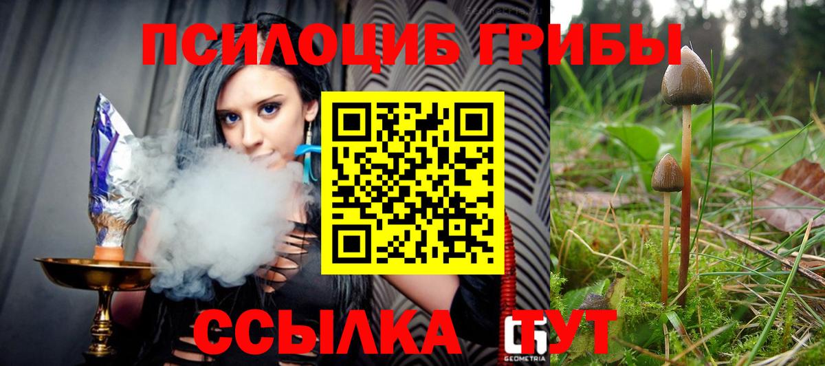 Подольск  Галлюциногенные грибы прущие грибы  Псилоцибиновые грибы GOLDEN TEACHER  Вход с VPN 