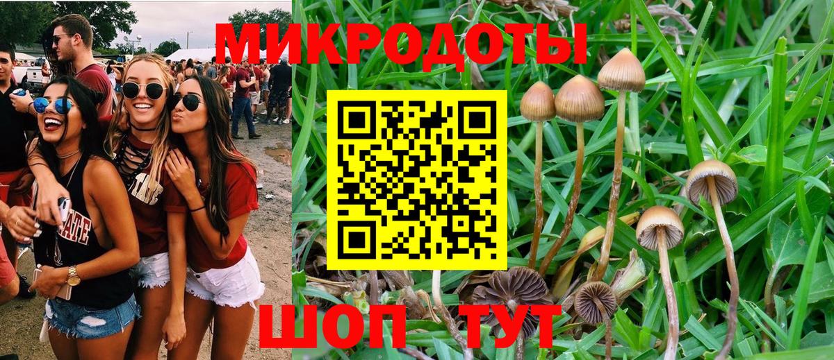 Галлюциногенные грибы прущие грибы Подольск